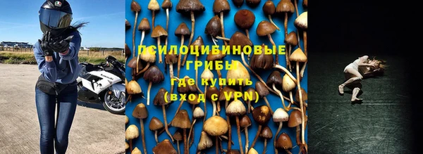 а пвп мука Абаза