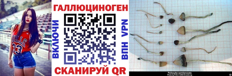 Галлюциногенные грибы прущие грибы Киренск